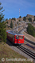 F042893: Rigibahn und Rigi Kulm