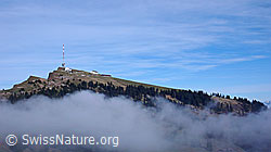 F042898: Rigi Kulm