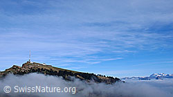 F042900: Nebelgrenze bei Rigi Kulm