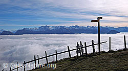 F042901: Wegweiser mit Zaun über Nebelmeer