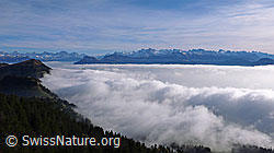 F042937: Nebelmeer staut sich an der Rigi
