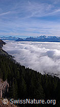 F042940: Nebelmeer staut sich an der Rigi
