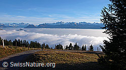 F042959: Herbststimmung über der Zentralschweiz