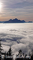 F042961: Pilatus von Rigi Kaltbad