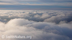 F042981: Nebelmeer über dem Mitteland