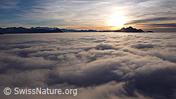 F042983: Abendstimmung mit Nebelmeer und Pilatus