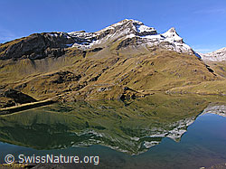 F043011: Reeti und Simelihorn mit Spiegelung