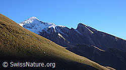 F043094: First: Schwarzhorn und Gemschberg