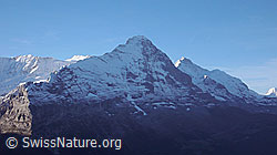 F043095: Mittellegigrat und Eigernordwand