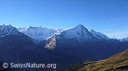 Foto: Eiger von Grindelwald First