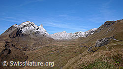 F043099: Reeti, Simelihorn, Faulhorn