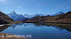 F043114: Spiegelung der Berner Alpen im Bachalpsee