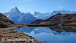 F043115: Spiegelung im Bachalpsee