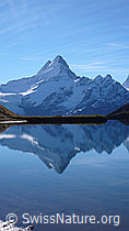 F043119: Schreckhorn mit Spiegelung