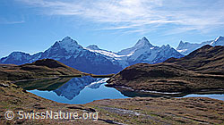 F043124: Spiegelung im Bachalpsee