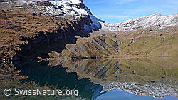 F043126: Mandelbrot-Spiegelung im Bachalpsee