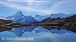 F043131: Berner Alpen mit Spiegelung im Bachalpsee
