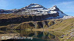 F043134: Spiegelung im Bachalpsee