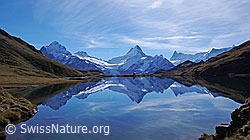 F043135: Bachalpsee und Spiegelbild Berner Alpen