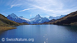 F043140: Bachalpsee, Wetterhorn, Schreckhorn