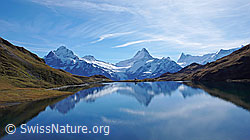 F043143: Alpen spiegeln sich im Bachalpsee
