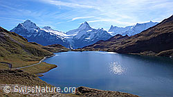 F043146: Bachalpsee und Berner Alpen