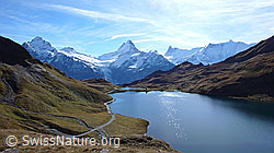 F043147: Bachsee und Berner Alpen