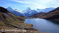 F043148: Berner Alpen mit Bachalpsee
