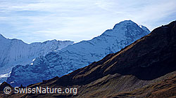 F043154: Ostegg, Mittellegi, Hörnli, Eiger
