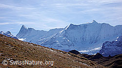 Foto: Finsteraarhorn und Fiescherhörner