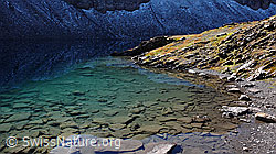 F043163: Hagelseeli mit Spiegelung