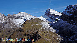 F043167: Wildgärst, Wart, Schwarzhorn