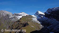 F043174: Wildgärst, Hinterbirg, Schwarzhorn