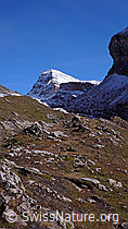 F043175: Hiendertellti und Schwarzhorn