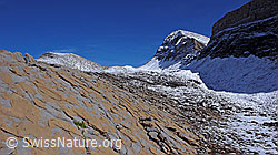 F043193: Felsplatte, Übergang, Hochtal
