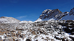 F043196: Wildgärst, Hinterbirg, Wart