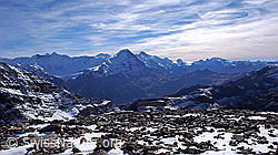 F043205: Wildgärst: Fiescherhörner und Eiger