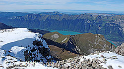 F043206: Wildgärst, Brienzersee, Brienzer Grat