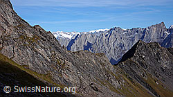 F043216: Engelhörner und kleines Wellhorn