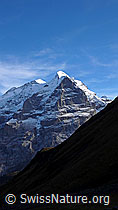 F043218: Mittelhorn und Wetterhorn