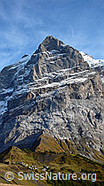 F043239: Scheideggwetterhorn und Grosse Scheidegg