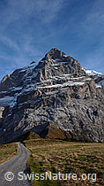 F043241: Scheideggwetterhorn