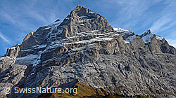 F043247: Scheideggwetterhorn (Grindelwald)
