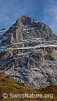 F043250: Nordwand Scheideggwetterhorn