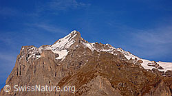 F043254: Wetterhorn im Abendlicht