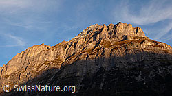 F043257: Mättenberg im Abendlicht