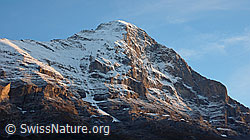 F043264: Grindelwald: Eigernordwand im Abendlicht