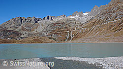 F043302: Einmündung Bergbach in Bergsee