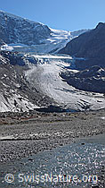 Foto: Gletscherzunge und Gletschertor