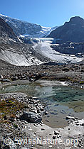 Foto: Steingletscher und Gletschervorfeld